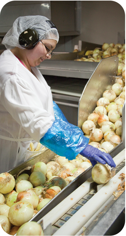 Gills Onion Product Inspection Line