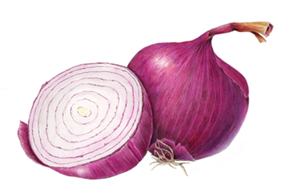 Whole Red Onion