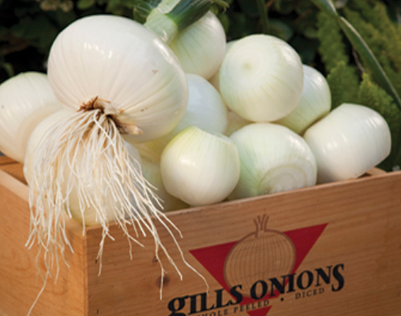 Gills Whole Peeled Onions
