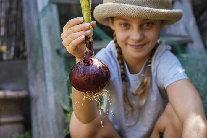 Child Holding Healthy Onion